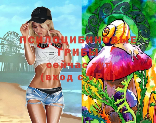 метадон Елабуга