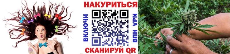 Купить закладки  Краснослободск  Марихуана сатива 